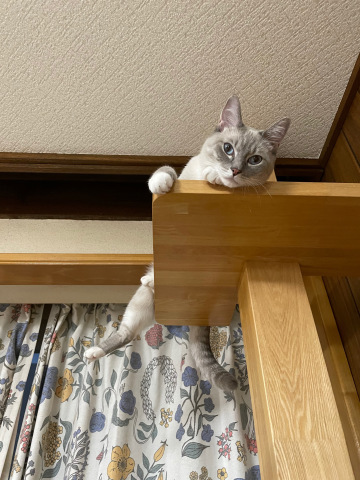 空のごはん_b0340621_15224809.jpeg