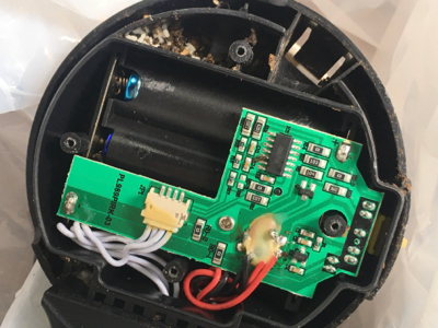 ヒアリに似たアリを発見?_d0214221_07394814.jpg