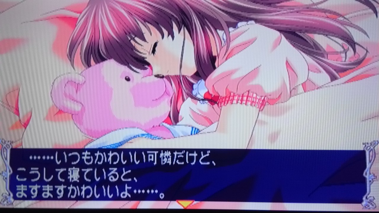 コーネリアスお兄ちゃん〜夜もいっしょ〜_a0393232_05205384.jpg