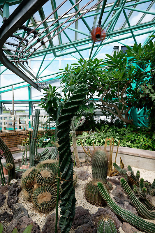 草津市立水生植物公園みずの森 其の三_f0032011_16355452.jpg
