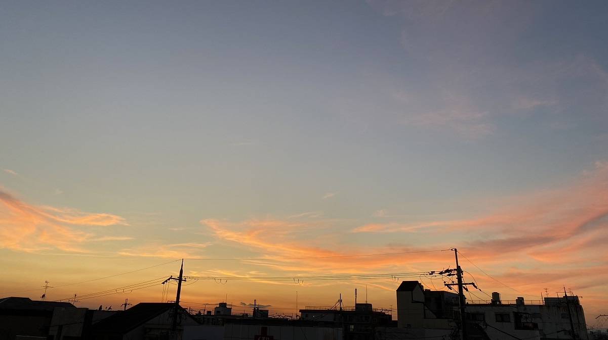 それほど賢くなくてよかった話。_f0190816_02305859.jpg