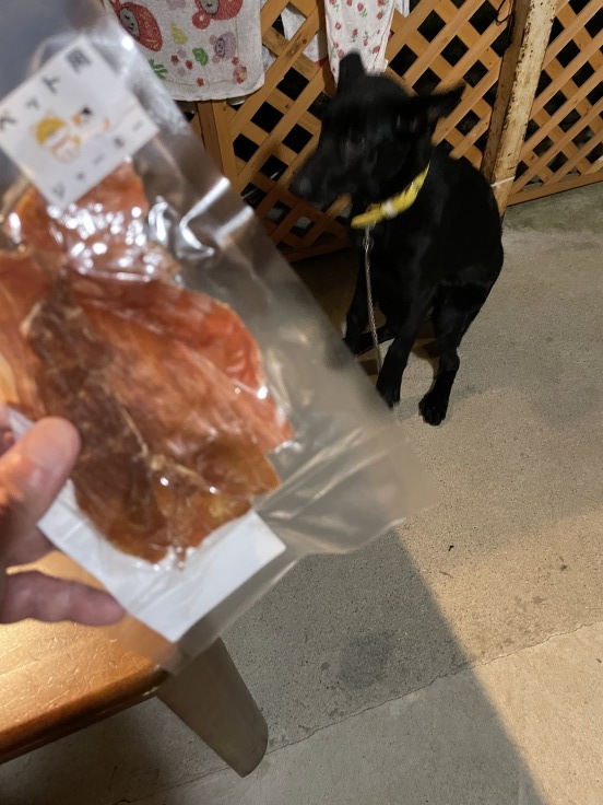 陸斗号の使い易さを再認識_f0076731_20455939.jpeg