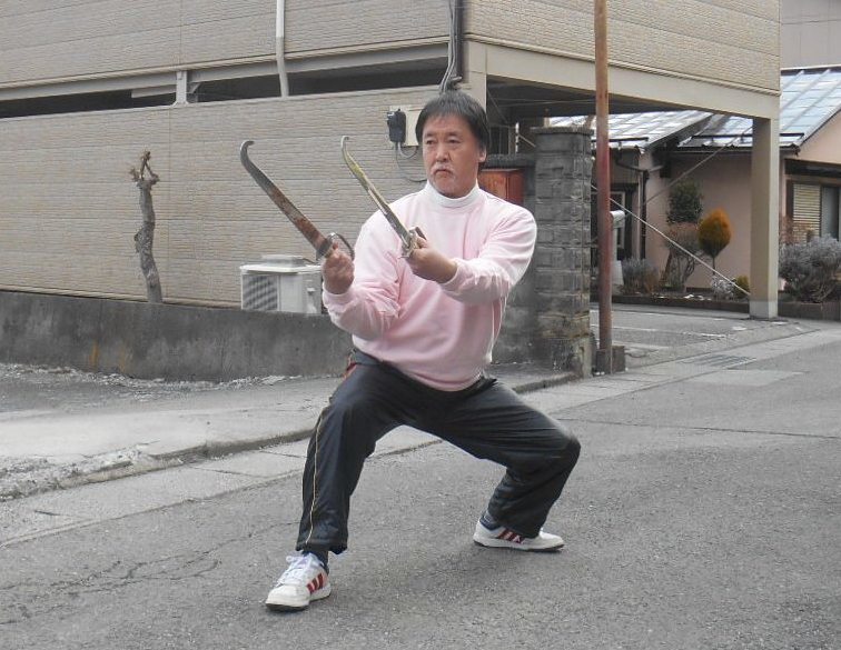 Amazon.com: 台湾振興社伝統武術金鷹拳―中国南少林寺正統
