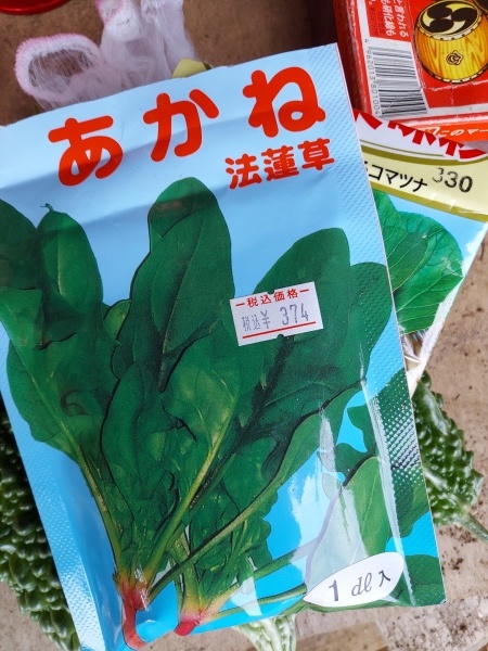 8月後半 9月前半迄の種まきの記録 鎌倉fonteの日常 8月後半 9月前半迄の種まきの記録 鎌倉fonteの日常