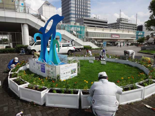 名古屋港水族館前のプランター花壇の植栽R3.9.7_d0338682_11040850.jpg