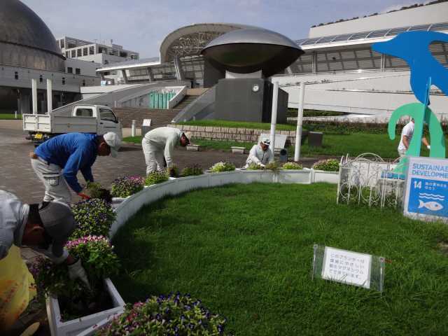 名古屋港水族館前のプランター花壇の植栽R3.9.7_d0338682_11091397.jpg