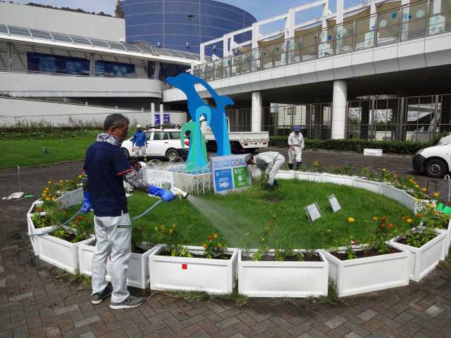 名古屋港水族館前のプランター花壇の植栽R3.9.7_d0338682_11111700.jpg