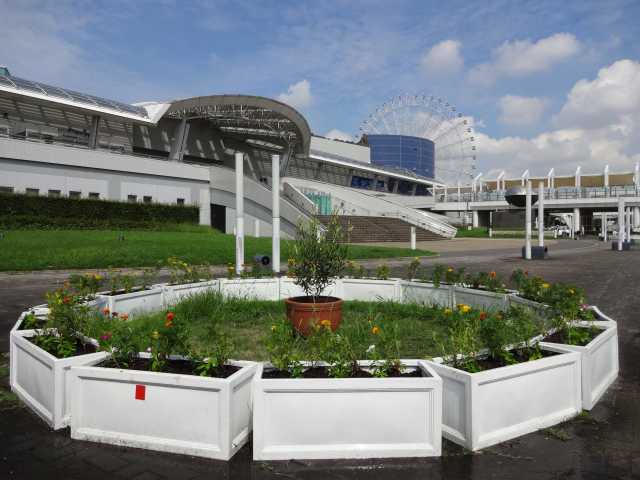 名古屋港水族館前のプランター花壇の植栽R3.9.7_d0338682_11253349.jpg