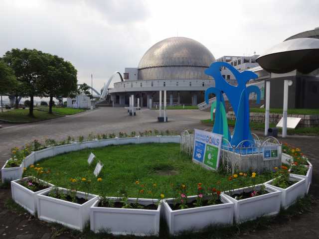 名古屋港水族館前のプランター花壇の植栽R3.9.7_d0338682_11255760.jpg