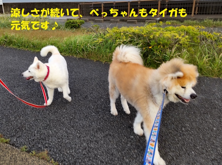 カユミとニオイの元凶発見!!_f0121712_11520894.jpg