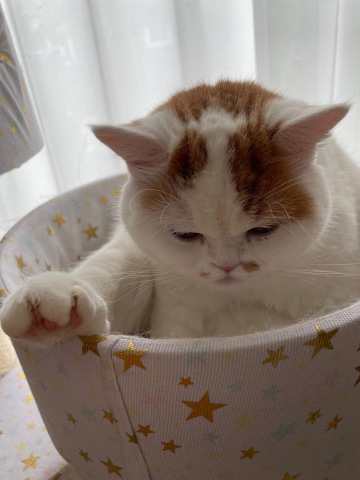 つぐみ親子の戯れ愛_b0340621_15360175.jpeg