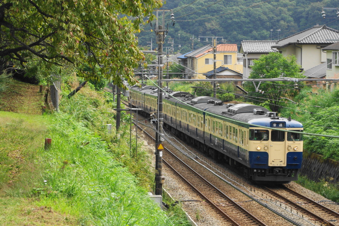 中央本線の115系～その1 | わさびくま日記 - 楽天ブログ