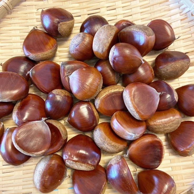 今まで感謝が足りなかった〜初めての渋皮煮_a0018237_10222319.jpg