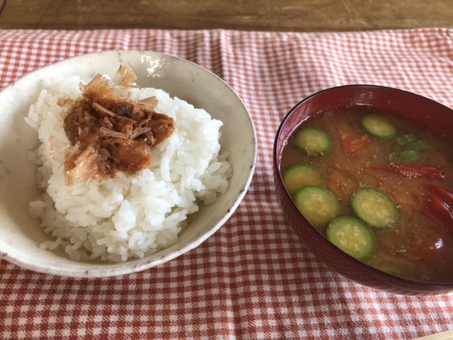 美味しいお味噌汁と梅干しご飯_d0136540_06005548.jpeg