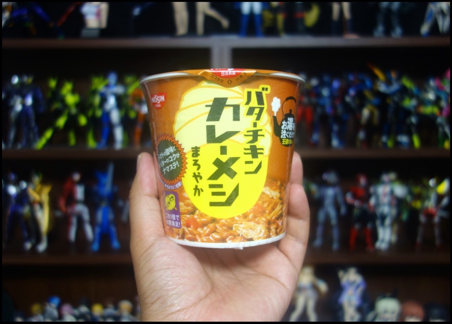 【ただの雑記】求めていた物を手に入れてしまった。_f0205396_22200402.jpg