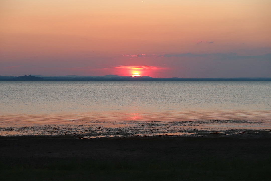 ゆく夕日みのるイチジクと満ちゆく月_f0234936_07582769.jpg