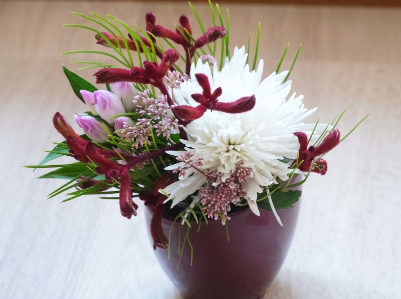 重陽の節句に菊酒を飲む♫_d0377645_00075911.jpg