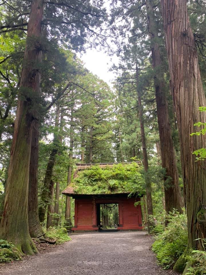 戸隠神社へ_e0040673_14171748.jpg