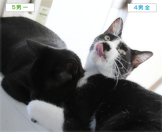 兄弟いつも_a0389088_15565818.jpg