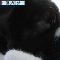 兄弟いつも_a0389088_15565936.jpg