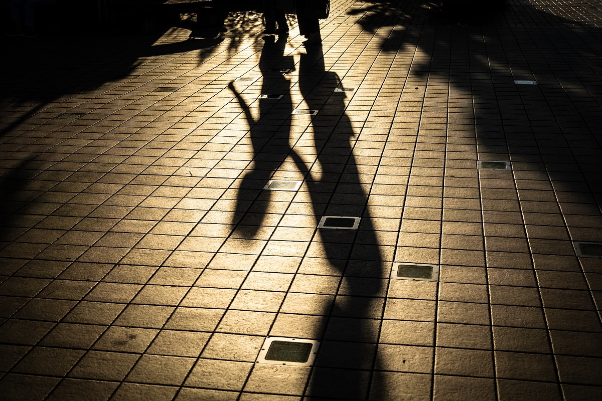 光蜥蜴が跳梁跋扈する季節_d0353489_23392868.jpg