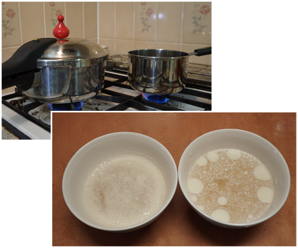 #ゼロ活力なべ で、クリーチャーの煮込み! #料理下手くそ選手権_a0024690_00114829.png