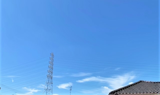 おうちごはん と つぶやき と_d0249193_11502219.jpeg