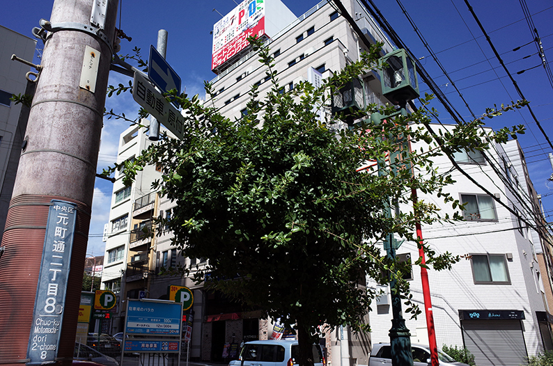 ほっといてくれ。見ず知らずの人間に寄り添われたくないよ!_c0102003_15512491.jpg