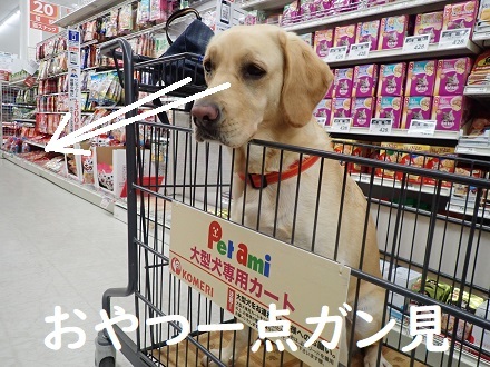 モデルナ副反応２日目。_c0182012_14090852.jpg