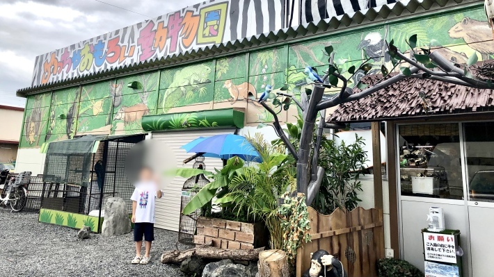 めっちゃおもろい動物園 チー坊の徒然なるままに めっちゃおもろい動物園 チー坊の徒然なるままに