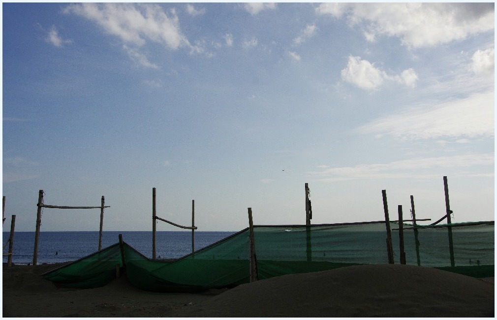 海辺の光景_c0352813_10344542.jpg