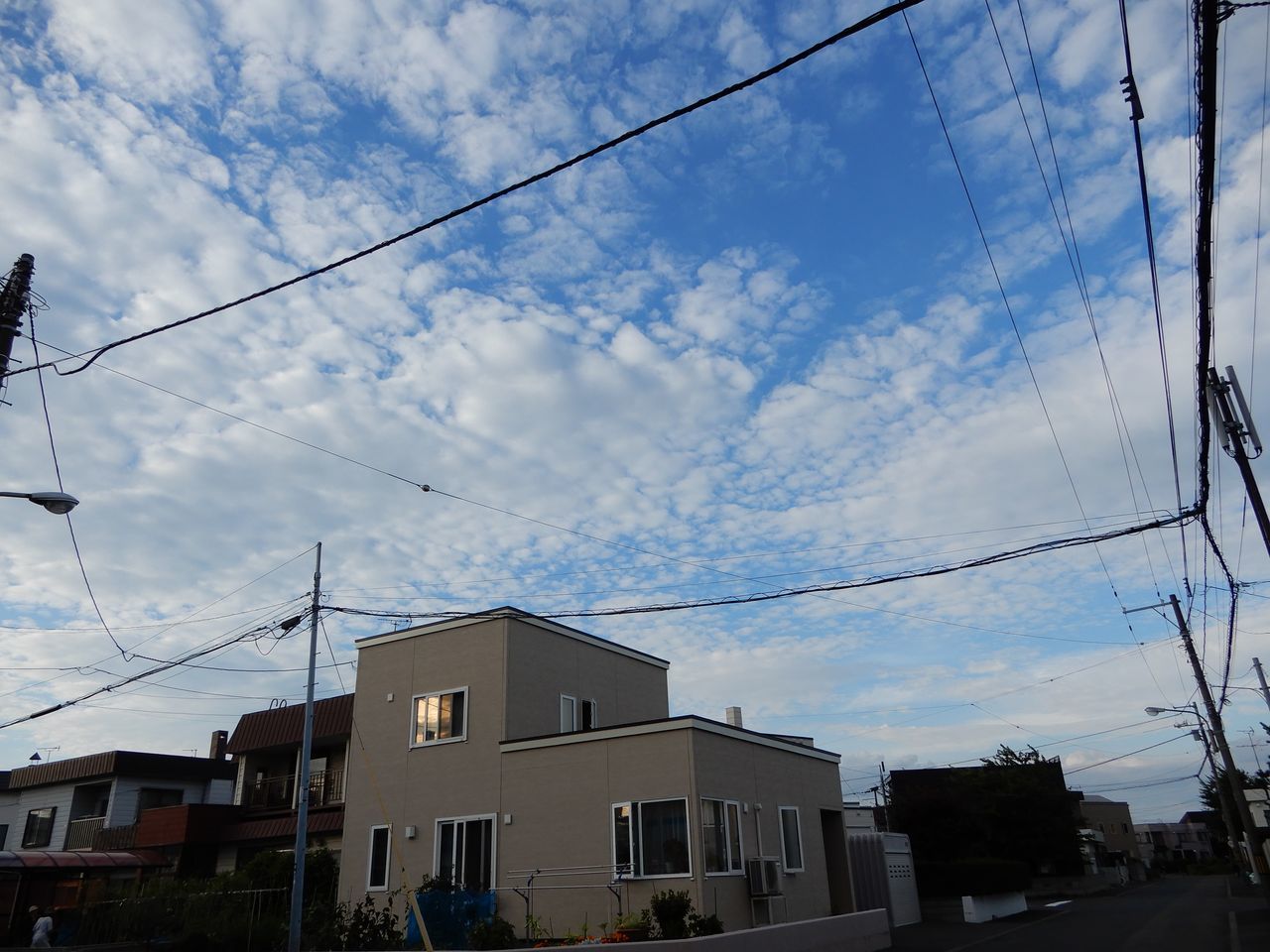 今日も夏日_c0025115_21554030.jpg