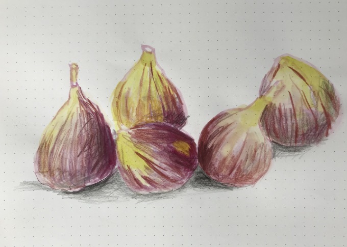 イチヂクを描く_d0101846_16354459.jpeg