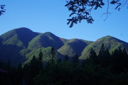 晴れれば初秋_f0114346_08265300.jpg