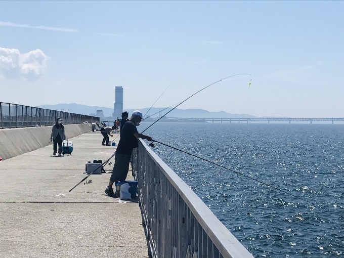 菊の花びらを浮かべたかったけれど_b0100062_08333472.jpeg