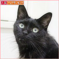突然の訪問者_a0389088_05203438.jpg