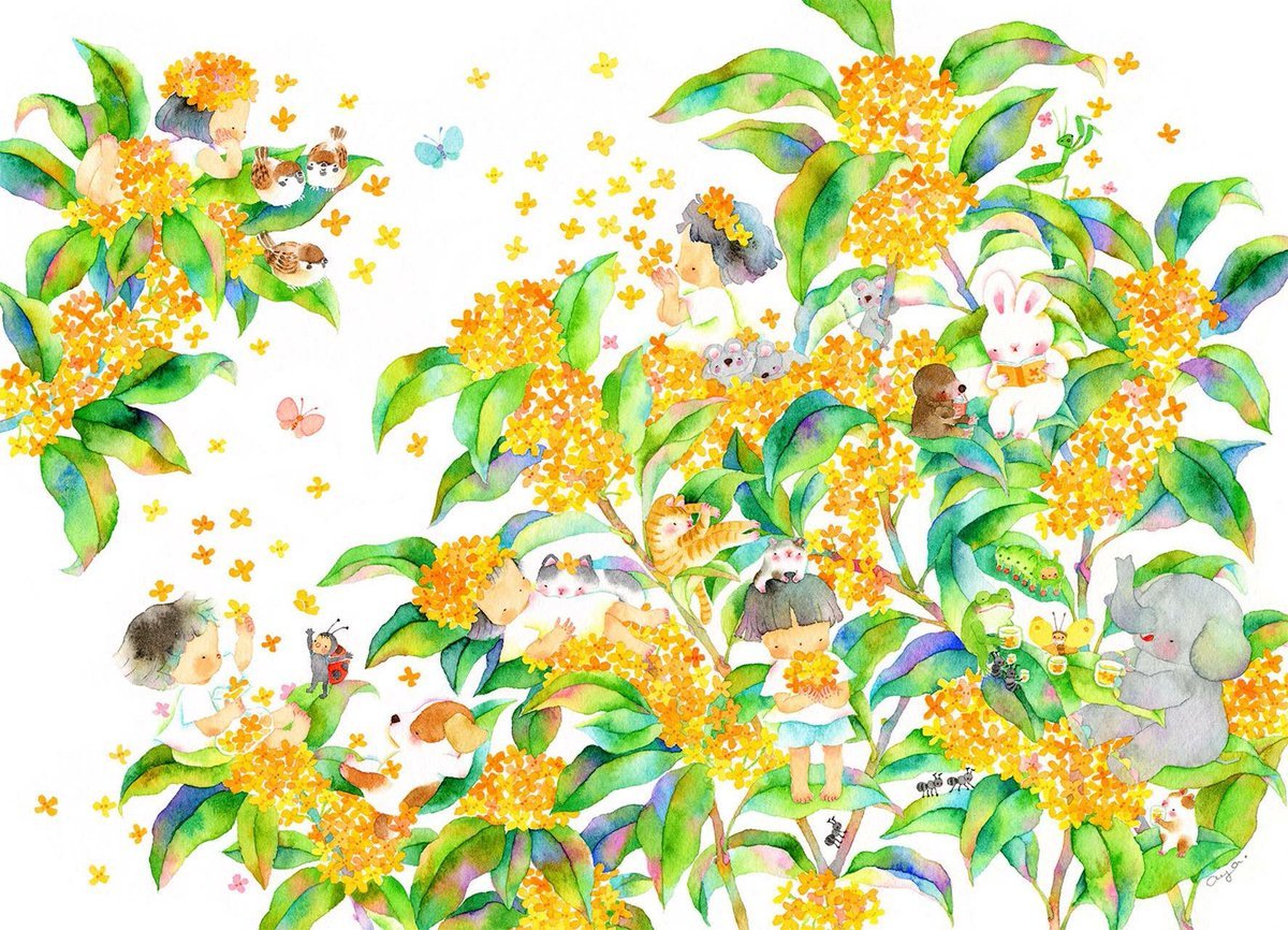 金木犀が秋を教えてくれました。_f0137694_06524705.jpeg