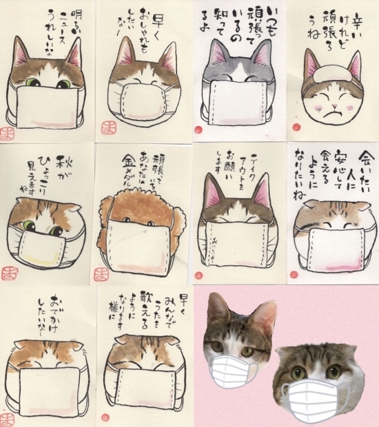 うみちゃん マスク猫 譲渡会のお知らせ_f0375804_19281285.jpg