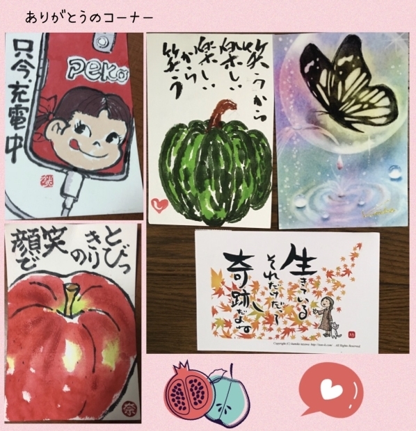 うみちゃん マスク猫 譲渡会のお知らせ_f0375804_20162273.jpg