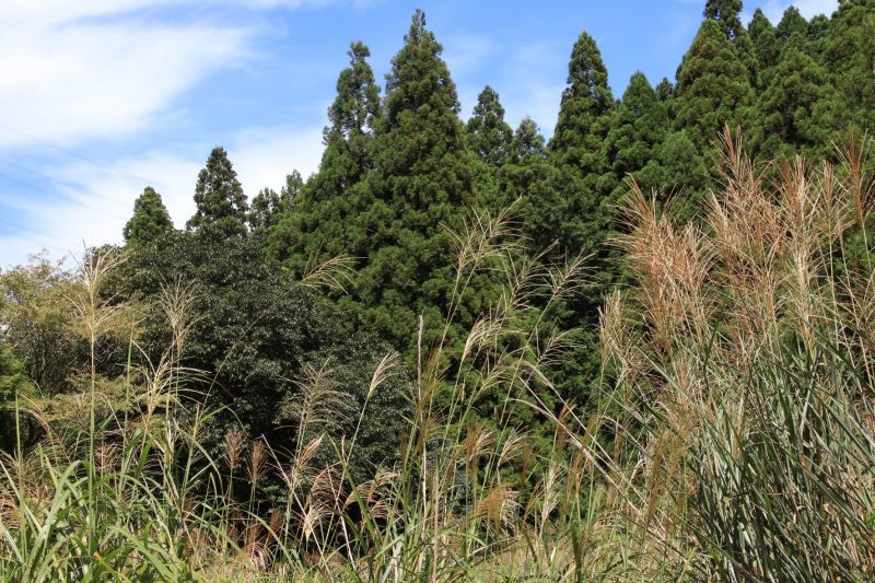 大原古知谷1　阿弥陀寺あたり_e0048413_17103195.jpg