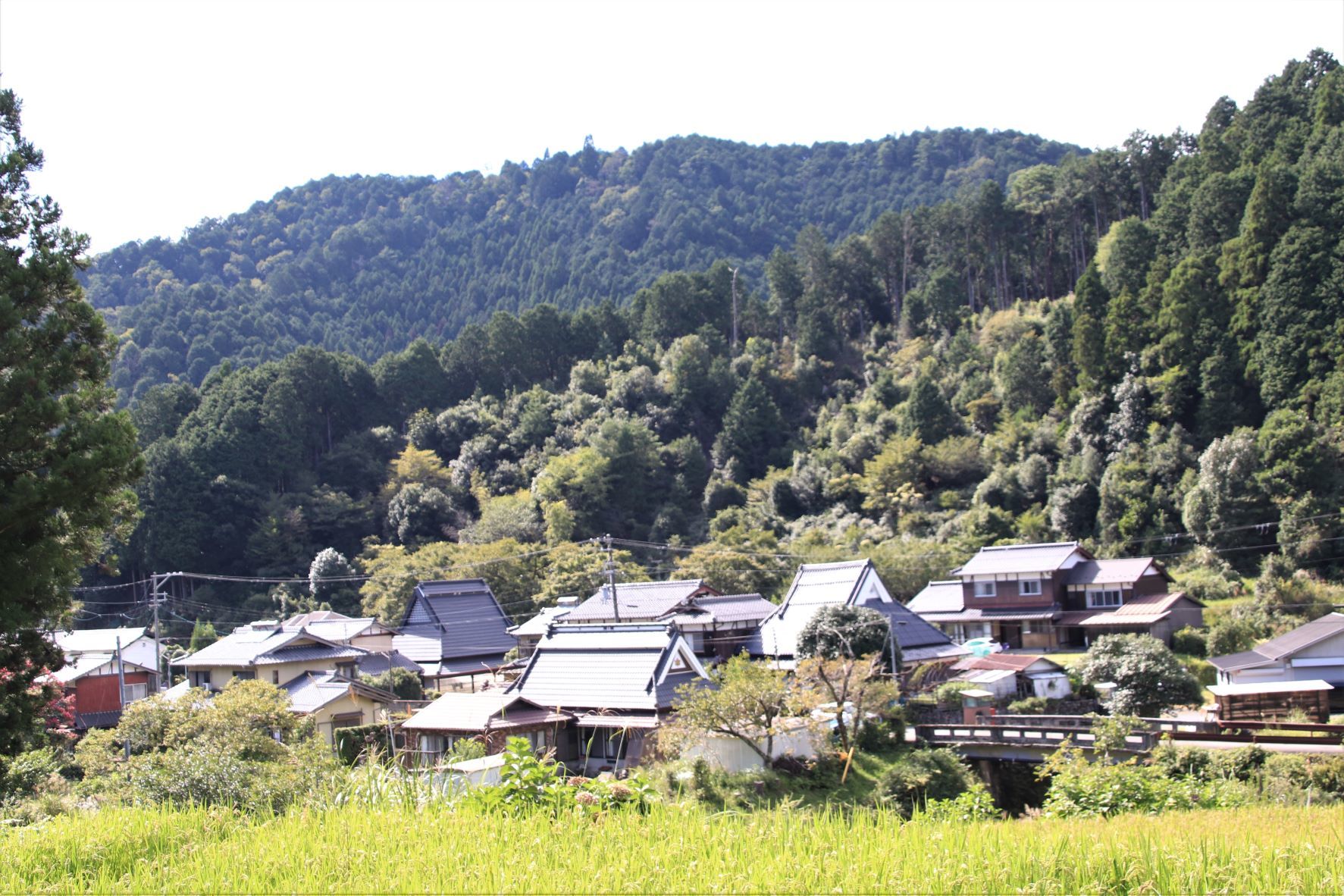 大原古知谷1　阿弥陀寺あたり_e0048413_17110298.jpg
