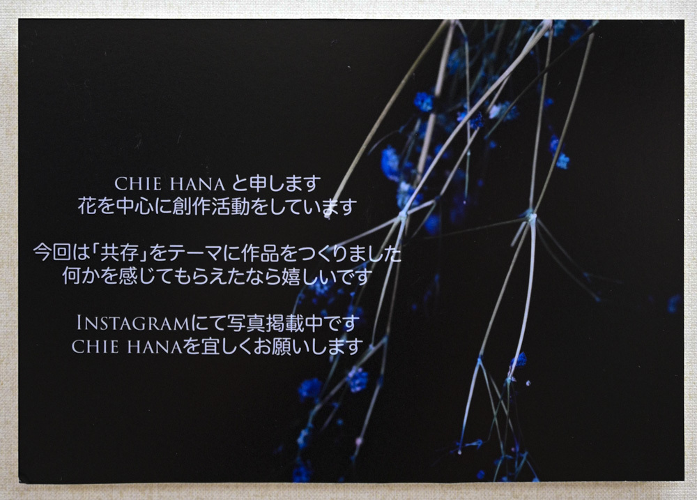 ＣＨＩＥ　ＨＡＮＡ　さんのお花畑_d0265224_17440231.jpg