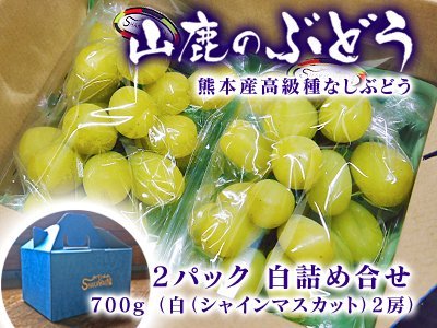 熊本産高級種なしぶどう『山鹿のぶどう』9月14日最終締め切り!令和4年度の購入はラストチャンスです!_a0254656_18295180.jpg