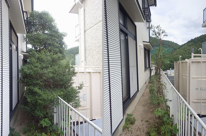 ゆずり葉の強剪定 京都市庭木剪定 庭 佳niwaka 庭木1本からの植木屋