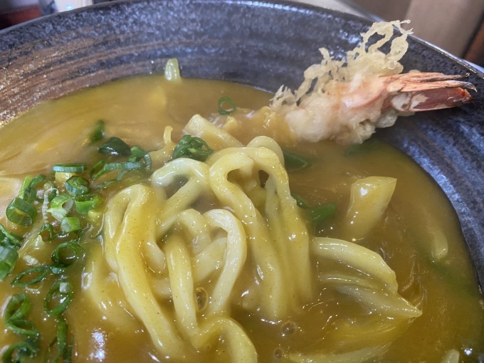 手打ちうどん 大にし かつ丼・・・のはずが 松阪市_d0258976_14314946.jpg