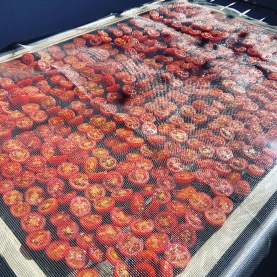 ドライトマトを作ろう!〜 夏の保存食作り3_e0335287_02093818.jpg