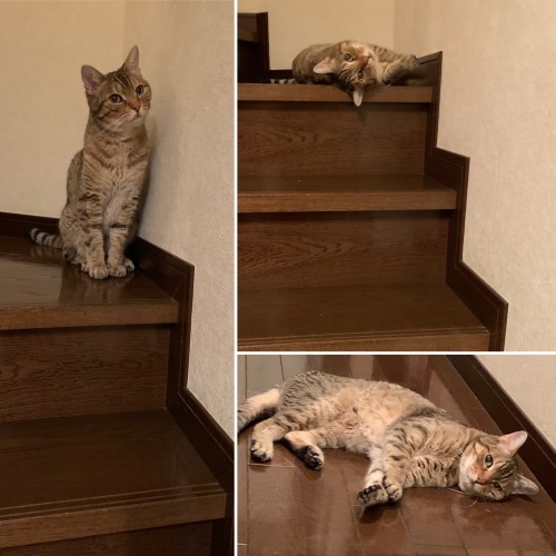 ワックスをかけると・・・_e0358096_19511754.jpeg
