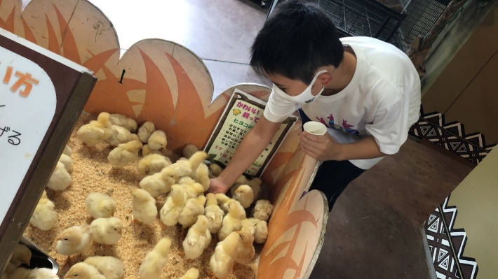 めっちゃおもろい動物園 チー坊の徒然なるままに めっちゃおもろい動物園 チー坊の徒然なるままに
