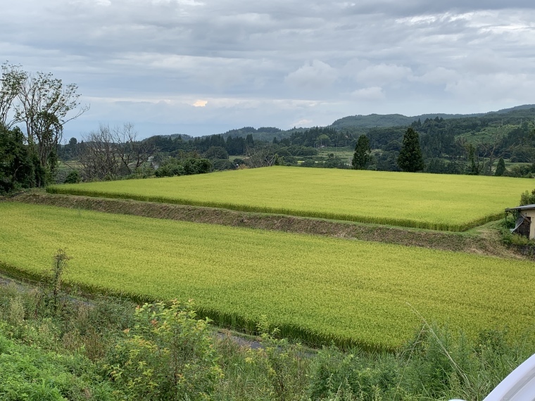 きれいな棚田_b0185375_07400628.jpeg