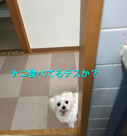 美味しいモノ_b0193480_14562083.jpeg